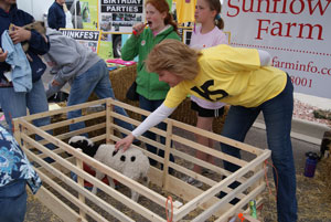 petting-zoo