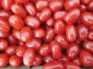 Food_tomatoes-1335810