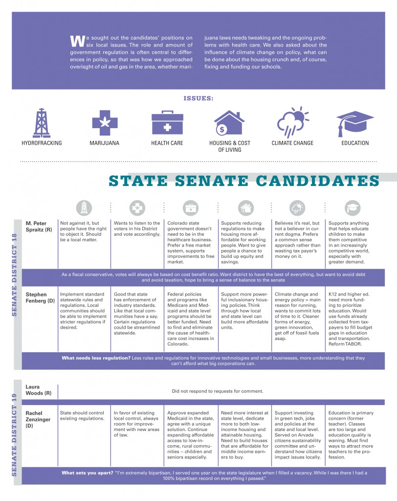 Listing of positions from four state senate candidates