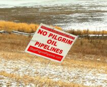 Voices from Standing Rock: Love Always