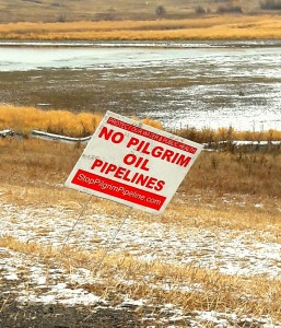 At Standing Rock, "No Pilgrim Oil Pipelines" sign in staked into the ground, crookedly