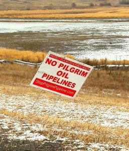 At Standing Rock, "No Pilgrim Oil Pipelines" sign in staked into the ground, crookedly