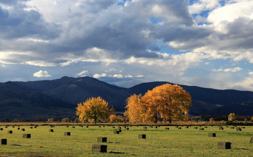Photo by Dave Sutherland - City of Boulder Open Space and Mountain Parks.