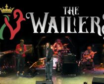 Spotlight on Josh Barrett of The Wailers
