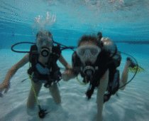 Summer Sports | Scuba Diving in CO: Spend your Summer Beneath the Surface