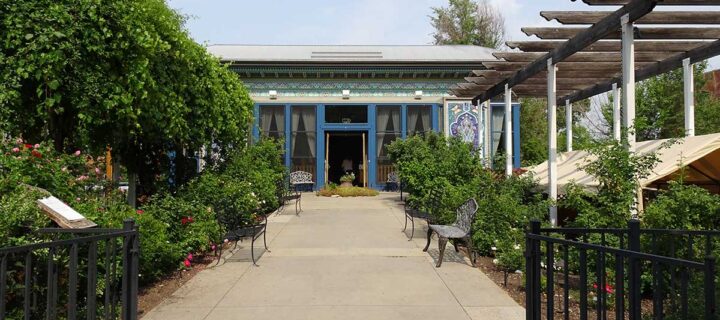 Boulder Tea Houses | In the Cups