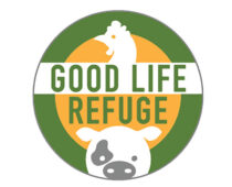 The Good Life Refuge Celebrates Three Years of Rescuing Farm Animals, Sept. 25 | Press Release