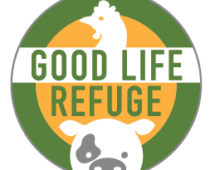 Good Life Refuge Sanctuary Opening Doors to The Public Again