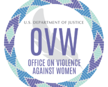 Violence Against Women Reauthorization Act of 2022 (VAWA) Introduced
