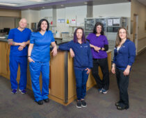 The Heroes: Nurses of Boulder County