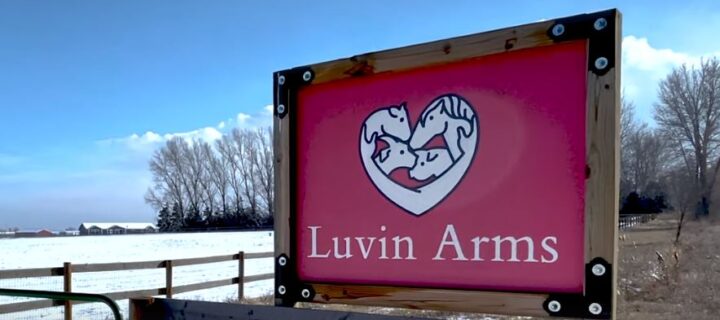 Luvin Arms Celebrates Freedom for all Beings