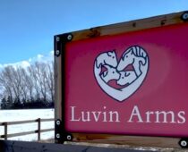 Luvin Arms Celebrates Freedom for all Beings