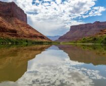 The Colorado River has come alive even as it ebbs