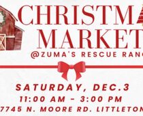 Zuma’s Rescue Ranch Christmas Market 2022