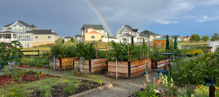 This is the Year to Join a Community Garden | Foodie