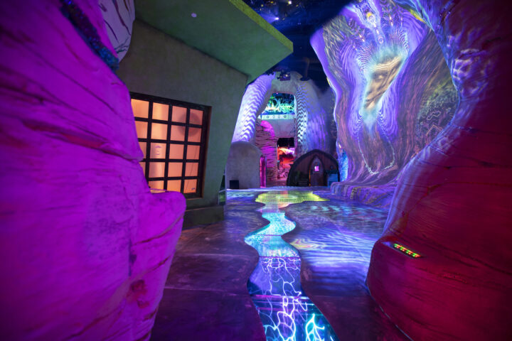 Where Worlds Collide: Art, Mystery, and Narrative Describe the Meow Wolf Experience