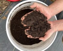 Human Composting: Navigating the “Ick Factor”