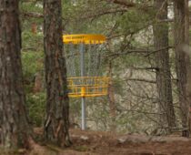 Boulder Chamber and Bolder Young Professionals to Host Annual Disc Golf Throwdown
