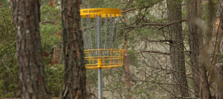Boulder Chamber and Bolder Young Professionals to Host Annual Disc Golf Throwdown