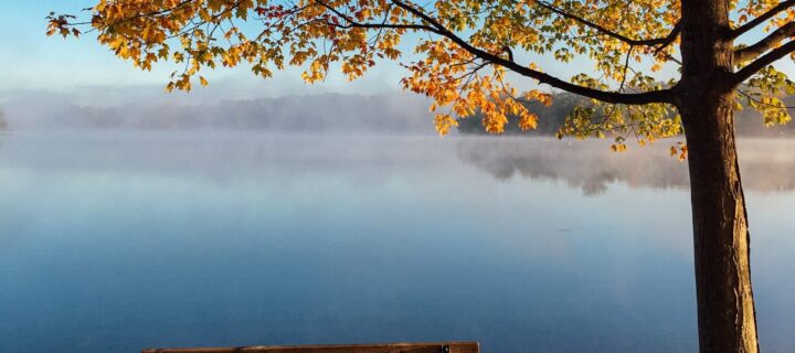 The Best Places to Leaf Peep in Colorado