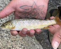 The Best North Metro Fishing Spots