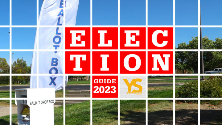 Yellow Scene 2023 Election Guide