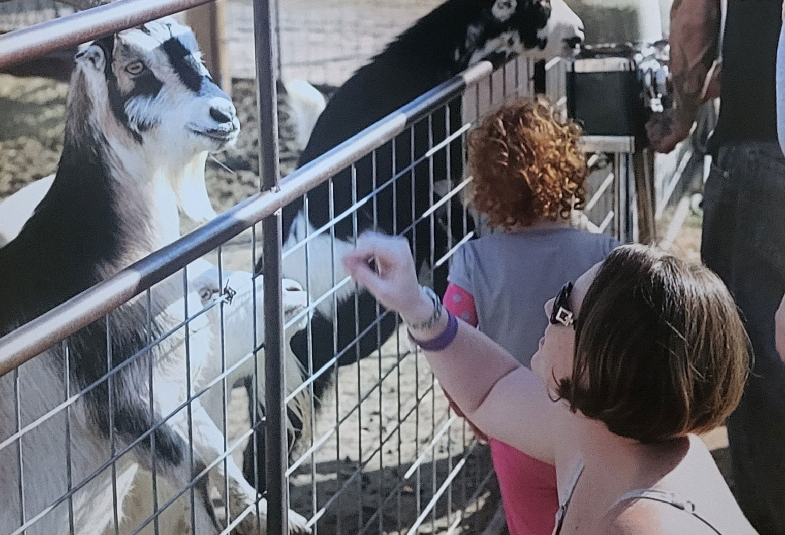 The Woman Who Chased Goats