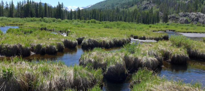 Colorado Lawmakers Expected To Consider State Permit Program Protecting Wetlands