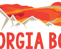 Georgia Boys BBQ Unveils Exciting New Menu Offering Customizable BBQ Plates, Loaded BBQ Tacos and Delectable Southern Sides