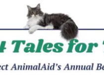 Project AnimalAid 2024 Tales for Tails