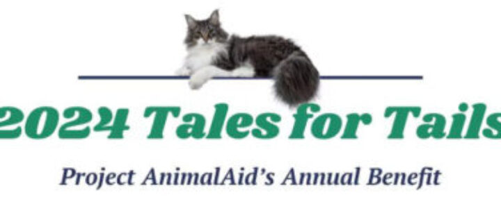 Project AnimalAid 2024 Tales for Tails