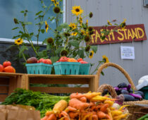 Growing Gardens: Opening Day of Our Farm Stand Today!