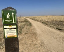 City of Boulder Opens New Vesper Trail After Burrowing Owls Raise Eight Owlets