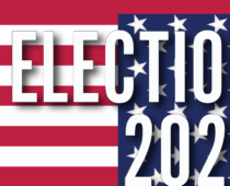 Yellow Scene Election Guide 2024