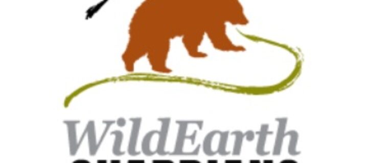 WildEarth Guardians Urges Colorado to Focus on Lowering Emissions on the Heels of New Carbon Storage Rules