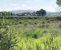 Waneka Property at Center of Lafayette’s Development Debate