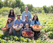 The Hands Behind the Harvest