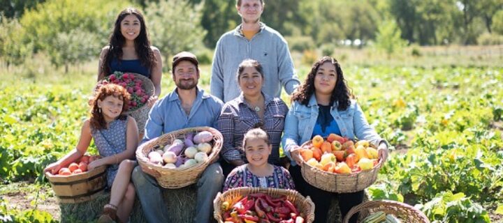 The Hands Behind the Harvest