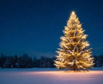 A Strange Christmas in an Unsettled America