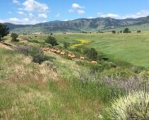 Warning Signs Posting at Rocky Flats Borders by Boulder County and Westminster