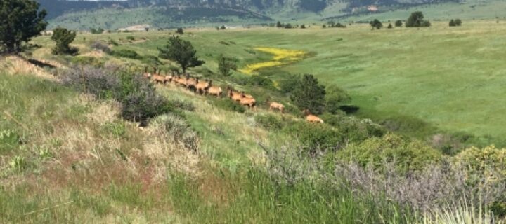Warning Signs Posting at Rocky Flats Borders by Boulder County and Westminster