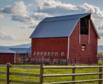 Garden: Who Can Homestead – Growing for Non-Farmers and Non-Wealthy