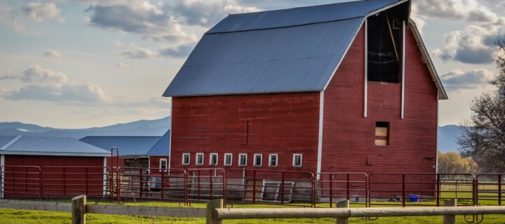 Garden: Who Can Homestead – Growing for Non-Farmers and Non-Wealthy