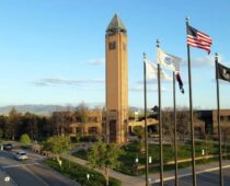 Westminster City Council Statement Concerning Federal Enforcement Actions