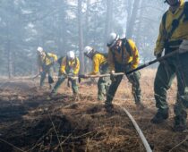 Bluebell Fire Cause Remains Undetermined After Saturday’s Multi-Agency Response