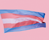 Colorado Capitol To Mark Transgender Day of Visibility with Motus Theater’s TRANSformative Stories
