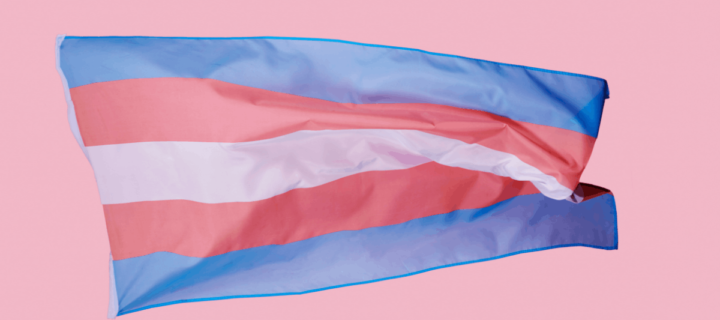 Colorado Capitol To Mark Transgender Day of Visibility with Motus Theater’s TRANSformative Stories