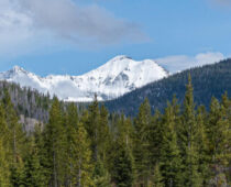Colorado Department of Natural Resources Announces a New Shared Stewardship Agreement