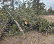 Op-Ed: The Changing Winds of Colorado