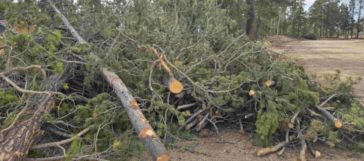 Op-Ed: The Changing Winds of Colorado